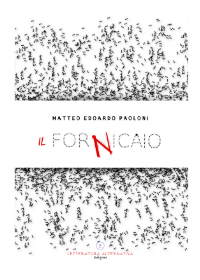 Il fornicaio di Matteo Edoardo Paoloni - Letteratura Alternativa Edizioni - 2020